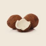 Coconut 1pc