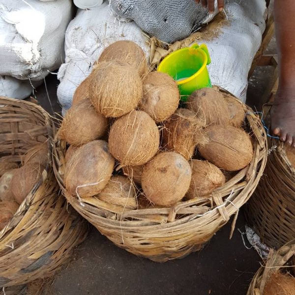 Coconut 12 pcs