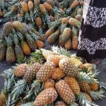Pineapple 12pcs