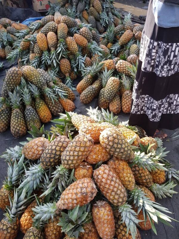 Pineapple 12pcs