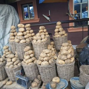 Irish potatoes - Small Basket