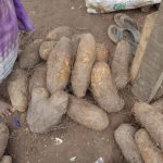 Water yam per 1