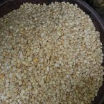 Guinea Corn Paint bucket