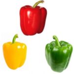 Yellow, Red & Orange BellPepper- 1KG