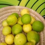 Lime - 1 Paint Bucket