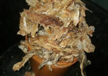 StockFish Deboned - 1 Paint Bucket