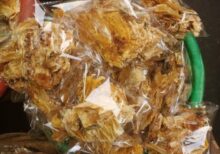 StockFish Fillet - 3pcs